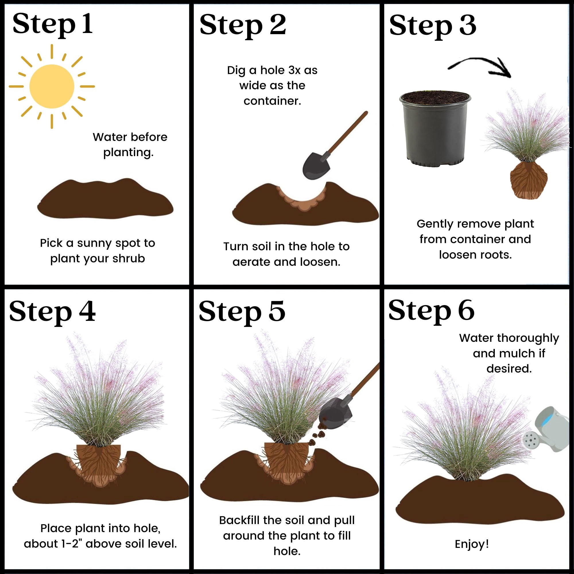 Pink Muhly Grass Live Plant (2.25 Gallon)