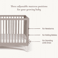 thumbnail image 4 of Little Seeds Pala 4-in-1 Convertible Baby Crib, True White/Whitewash, 4 of 7