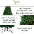 thumbnail image 3 of Nearly Natural Clear Prelit LED Green Decorated Fir Artificial Christmas Tree, 10', 3 of 12