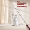 thumbnail image 2 of Cats Play Wand for Active Pet Activity and Bonding Teaser Retractable Rod, 2 of 8