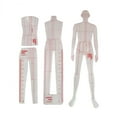 thumbnail image 4 of Regla de plantilla de dibujo de moda, regla de costura, confección de ropa, modelos de confección, reglas de ilustración de moda para pantalones, 4 of 8