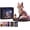 Fox, variant on Mythical Forest DIY Bead Kit Collection, Tiny 3D Beaded Animal DIY Kit, Bead Animal Making Kit for Adults, Creative Fantasy Craft Set, Birthday Decoration Gifts for Beginners (Wolf)