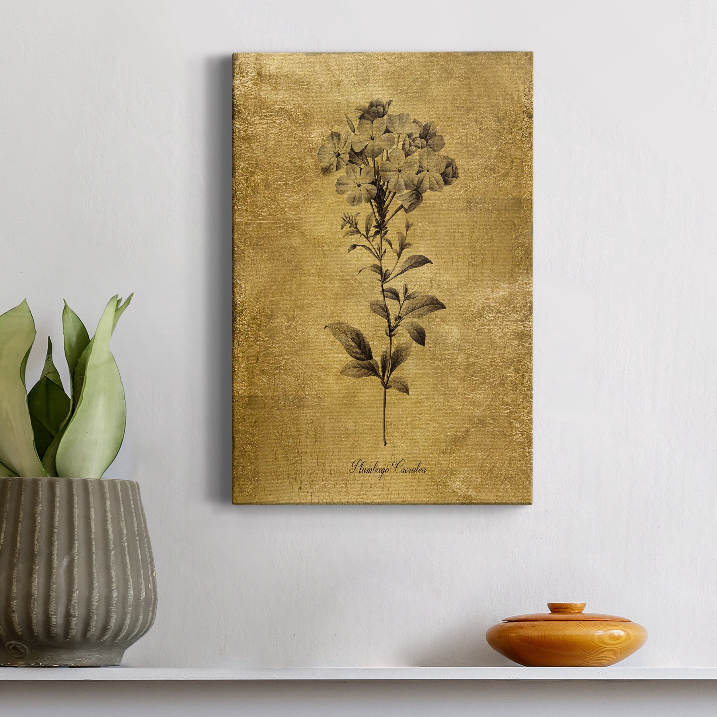Gold Sketch Botanical II Premium Gallery Wrapped Canvas - Ready to Hang - 24 x 36