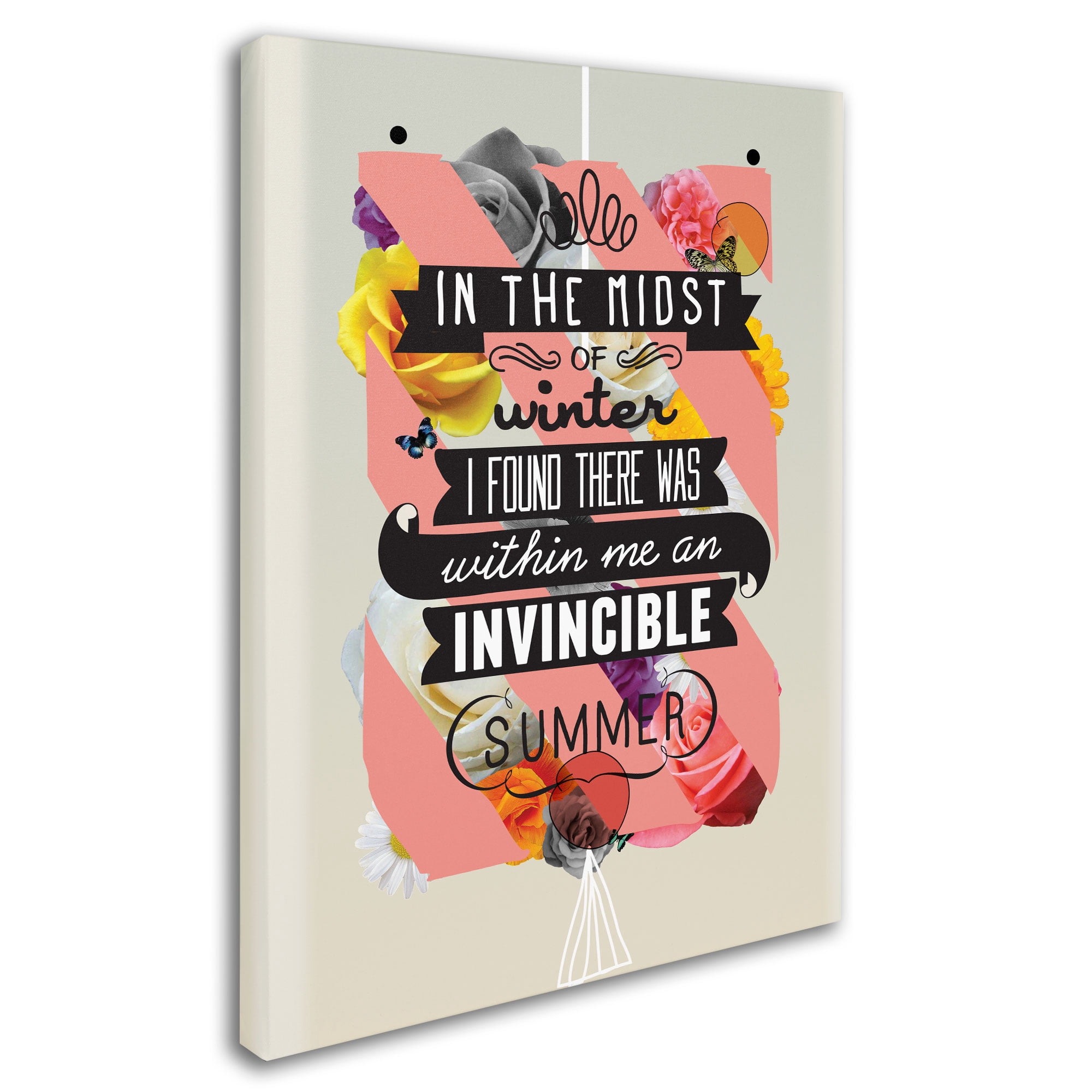 Trademark Fine Art 'The Invincible Summer' Canvas Art by Kavan & Co