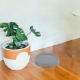 thumbnail image 2 of TEHAUX Flowerpot Trays Plastic Grey 2Pcs 11.2X11.2X1.8in For Garden Use, 2 of 6
