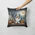 thumbnail image 2 of Bearded Collie Spooky Halloween Fabric Decorative Pillow 18 in x 18 in, 2 of 5