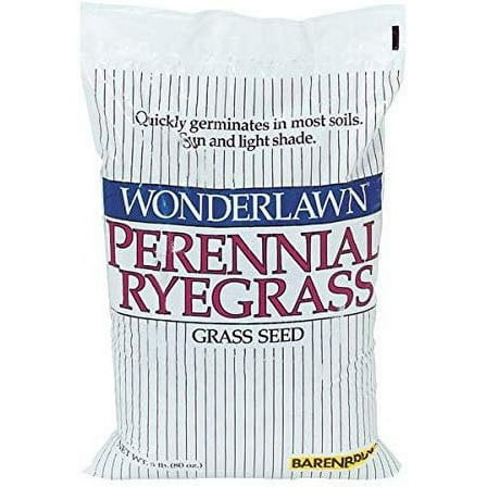 Barenbrug USA 22205 Ryegrass Grass Seed