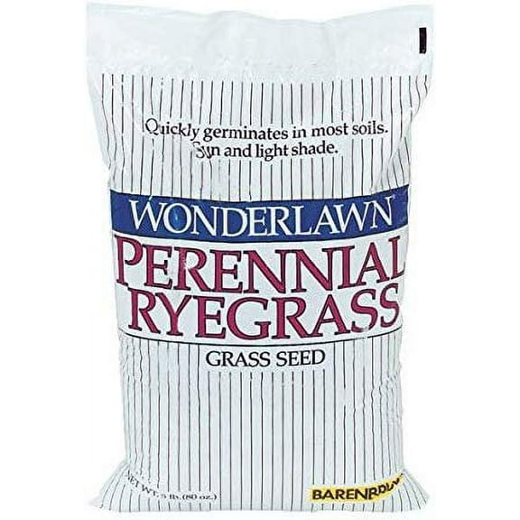 Barenbrug USA 22205 Ryegrass Grass Seed