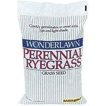 Barenbrug USA 22205 Ryegrass Grass Seed