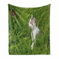thumbnail image 1 of Nature Soft Flannel Fleece Throw Blanket, Cat Watching a Butterfly on Grass Field Garden Inspirational Picture, Cozy Plush for Indoor and Outdoor Use, 60" x 80", Fern Green White Grey, by Ambesonne, 1 of 6