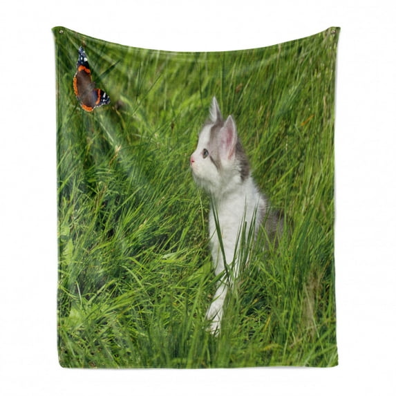 Nature Soft Flannel Fleece Throw Blanket, Cat Watching a Butterfly on Grass Field Garden Inspirational Picture, Cozy Plush for Indoor and Outdoor Use, 60" x 80", Fern Green White Grey, by Ambesonne