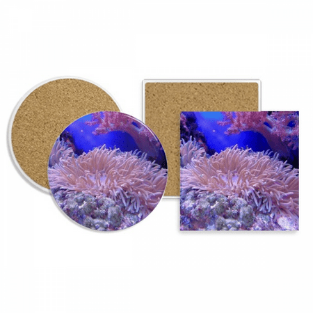 

Ocean Science Nature Picture Coaster Cup Mug Holder Absorbent Stone Cork Base Set