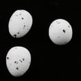 thumbnail image 3 of Artesanía artificial huevos de pájaro 20pcs para los ornamentos del jardín de la decoración jinwen Huevo de pájaro artificial, 3 of 8