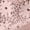 Pink, variant on Women's 2025 Floral Lace Hipster Panties Seamless Hollow Out Cheeky Underwear High Waisted Breathable See-Through Lingerie Lightweight Stretch Everyday Comfort