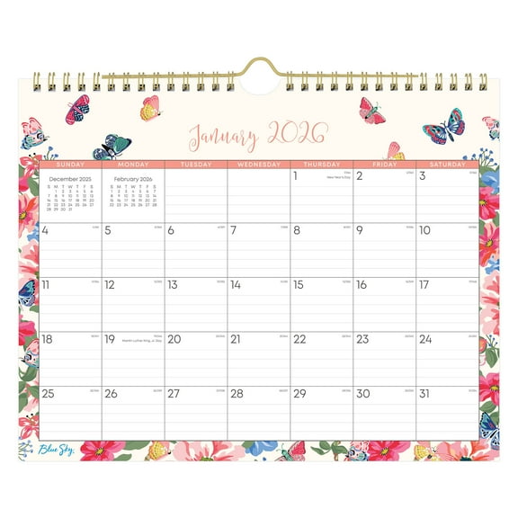 2026 Blue Sky Monthly Wall Calendar, 11" x 8-3/4", Fly By, January To December, 148643