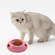 thumbnail image 4 of pstuiky Tazón para cachorros Tazón para gatos Tazón para comida Tazón para mascotas que evita vuelcos Tazón para perros y gatos Tazón para agua potable, 4 of 6