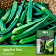thumbnail image 3 of 3 Packs Clemson Spineless Okra Seeds - Non-GMO Heirloom Full Sun Annual Vegetable, 3 of 6