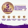 thumbnail image 3 of Wellness Complete Health Senior Dry Dog Food, Age Advantage, Deboned Chicken & Barley Recipe, 5-Pound Bag, 3 of 10
