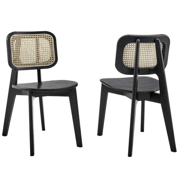 Modway Habitat Wood Dining Side Chair Set of 2 in Black