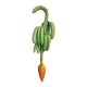 thumbnail image 1 of Plátano artificial, fruta de imitación, accesorio decorativo, racimo de plátanos para la cosecha Verde, 1 of 9