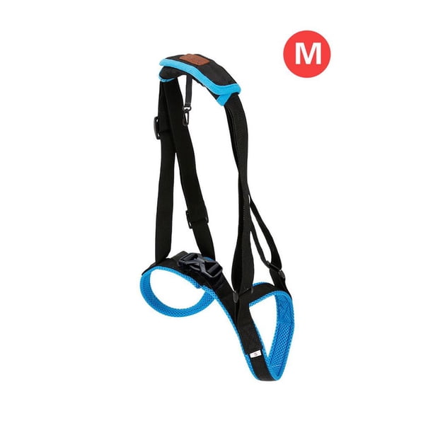 Pet Back Leg Walking Aid Dog Guardia De Pierna Trasera Perro Cinturón Auxiliar Suministros Para Mascotas sonducket PT001414-02