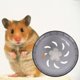 thumbnail image 3 of Hytrove De Ejercicio Para Hamster Con Y Material Plástico, 3 of 8