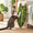 Velvet taro, variant on Green Leaf-Shaped Sisal Cat Pad For Wall And Floor, Large Scratch Mat For Indoor Cats