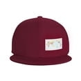 thumbnail image 2 of World Map Flat Bill Hats for Men Snapback Skull Skateboard Hats Baseball Cap, 2 of 7