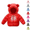thumbnail image 4 of Odeerbi Toddler Boys Girls Winter Down Jacket Thermal Puffer Coat Children Casual Hooded Jacket Long Sleeve Down Coat Outerwear Toddler Clothes Pink, 4 of 4