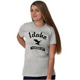 thumbnail image 3 of Idaho Cute Bald Eagle Souvenir Men's Graphic T Shirt Tees Brisco Brands X, 3 of 4