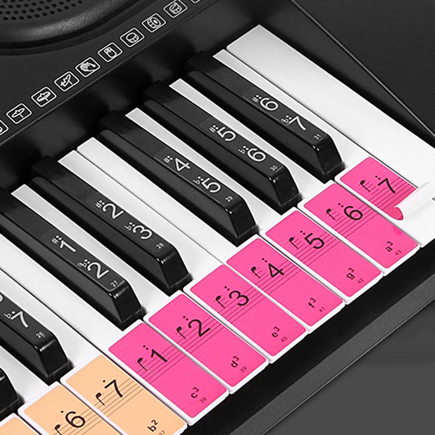 Piano Stickers - Colored Piano Keys With Notes by Hamrah Music