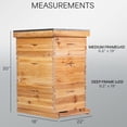 thumbnail image 6 of Complete Beekeeping 30 Frame Beehive Box Kit 10 Medium / 20 Deep Langstroth Hive, 6 of 8