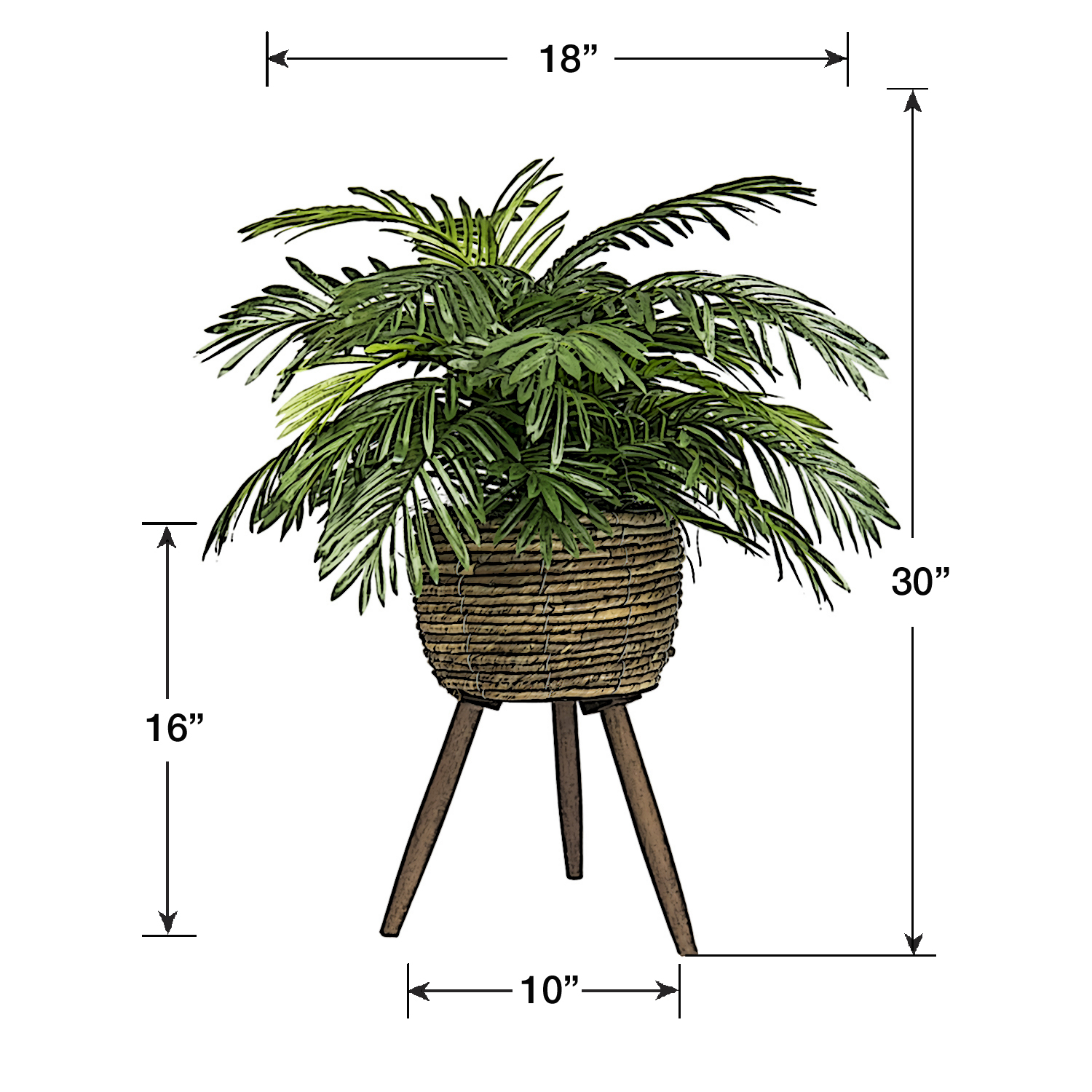 LCG Florals Artificial Plant, Phoenix Palm, 2.5 ft, Basket Stand, Weighs approx. 6 lbs.