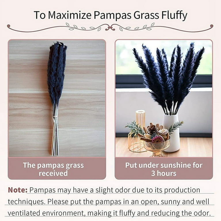 (10 Units) Black Pampas Grass, (17 inch Large). Black Pampas Grass Decor  Fluffy. Small Pampas Grass, Boho Flowers Decor, Dried Black Flowers. by