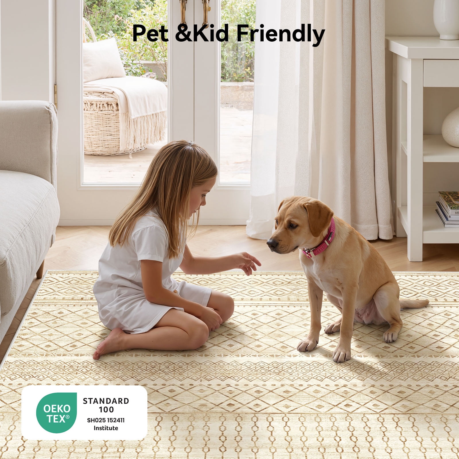 CHITOOMA 5'x7' Area Rugs for Living Room, Washable Rugs Print Pattern Boho Soft Geometric Bohemian Carpet Indoor Rug for Bedroom Dining Room Office Nonslip Foldable Rug