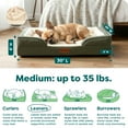 thumbnail image 3 of Furhaven Pet Products Medium Nest-Top Perfect Comfort Sofa Orthopedic Ped Bed, 30"x20", Green, 3 of 8