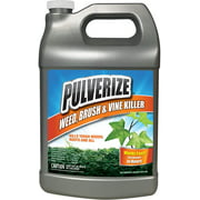 Pulverize Weed, Brush & Vine Killer Spray - Fast Acting, Weed Killer - 1 Gallon Ready to Use with Nested Trigger
