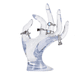 thumbnail image 1 of "Mano Exhibidor De Anillos Soporte Para Joyería Joyas Maniqui Malubero, Transparente ", 1 of 5