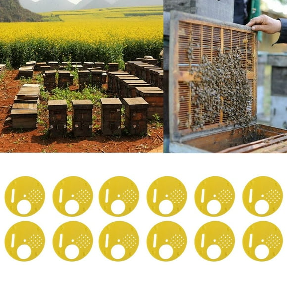 Hive Nuc Box, Beehive Nuc Box Plastic Beekeeping Equipment 12 Pcs/set Bee Box, Yellow Box For Top Bar Hives Nuc's And Mating Hives