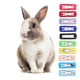 thumbnail image 1 of Pequeña horquilla de color para perros, clips de cabello para mascotas pequeños de moda multicolor para conejito para cobay para chinchilla, 1 of 7