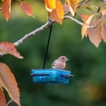 thumbnail image 2 of More Birds Snacks ’N’ Treats Single Serving Hanging Bird Feeder, Suet, Bird Seed, Jelly, Mealworms, 2 of 6