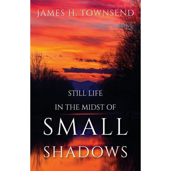 Still Life in the Midst of Small Shadows, (Paperback)