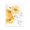 Modern Yellow Daisies Cottage Floral, variant on Stupell Industries Farmhouse Traditional Yellow Dandelion Canvas Art, 16 x 20, by Ethan Harper