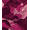 Pink, Pattern 12, variant on ODIKA 4'x6' Machine Washable Non-Slip Area Rug, Art Nouveau Burnt Orange High Traffic Rug, Orange, 1083755