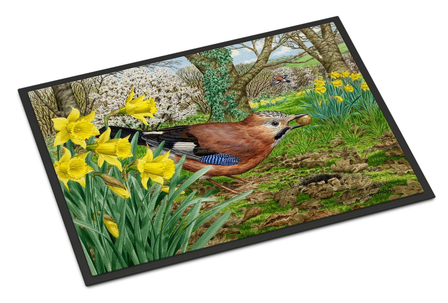 Jay Doormat by Caroline's Treasures