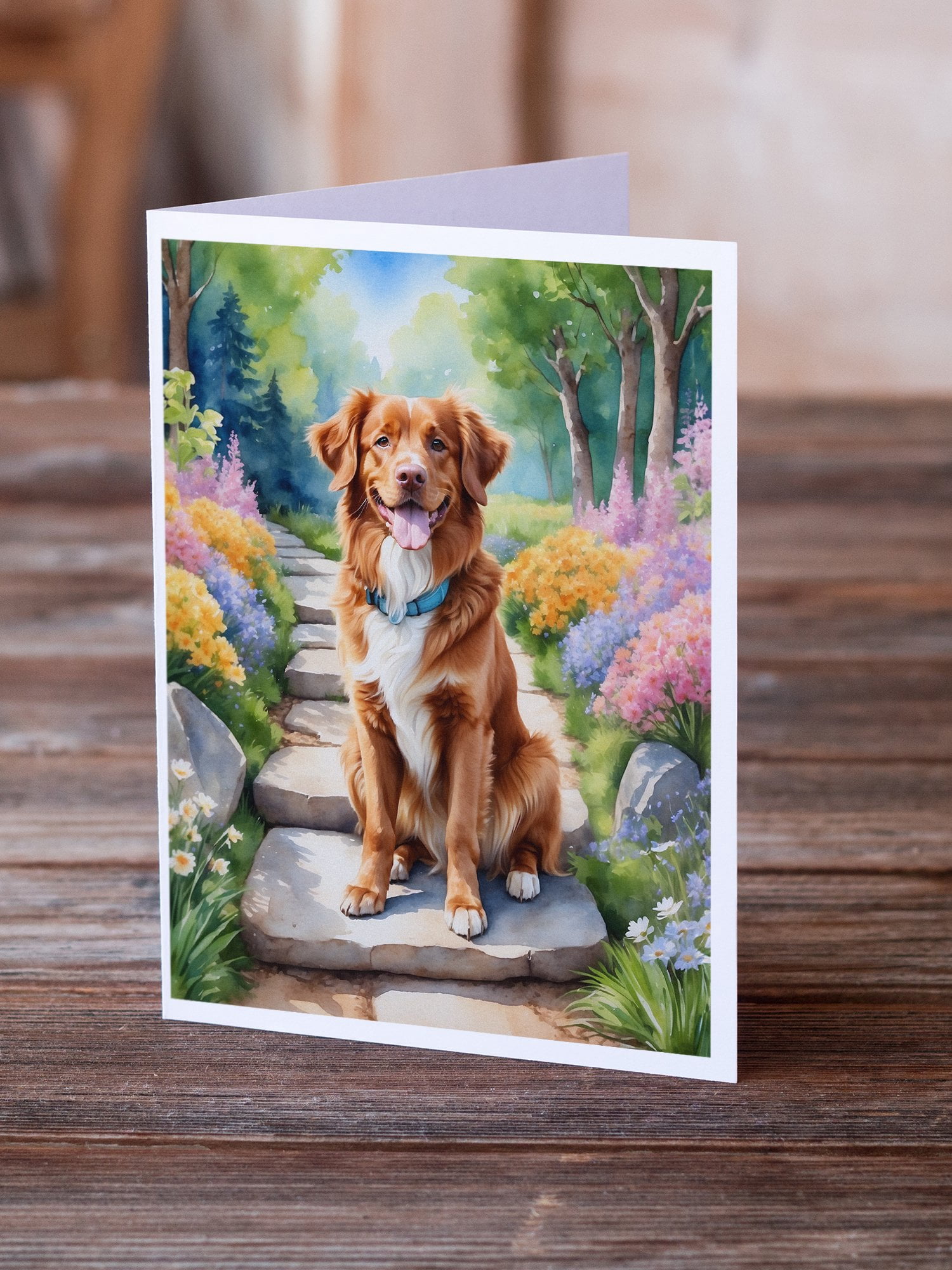 Nova Scotia Duck Tolling Retriever Spring Path Greeting Cards Pack of 8 7 in x 5 in