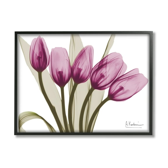 Stupell Industries Contemporary Pink Tulips Botanical & Floral Photography Black Framed Art Print Wall Art, 14 x 11