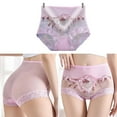 thumbnail image 6 of JINCBY Clearance,High Waist Lace Embroidered Panties Embroidered Sexy Mesh Thin High Waist Abdomen Lifting Hip Underpants Gift for Women, 6 of 6