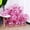 pink, variant on 10pcs 12inch Gold Star Confetti Latex Balloons Glitter Clear Transparent Balloons Wedding Birthdy party Decoration Helium Balls