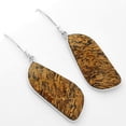 thumbnail image 2 of Natural Coquina Fossil Jasper - India 925 Sterling Silver Earrings Jewelry SDE62467, 2 of 5